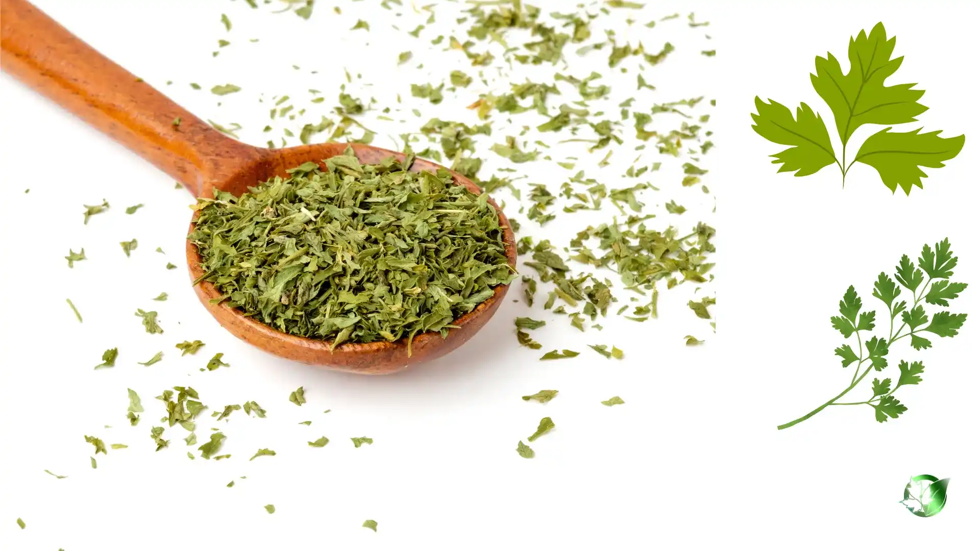 Vendor evaluation for Dried Parsley should cover specification, packaging, documentation, logistics, and landed commercial cost.